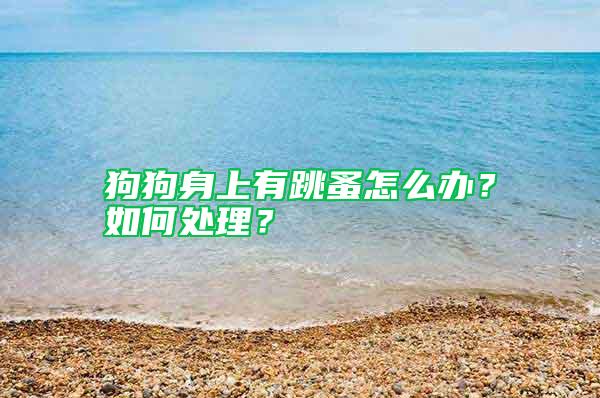 狗狗身上有跳蚤怎么辦？如何處理？