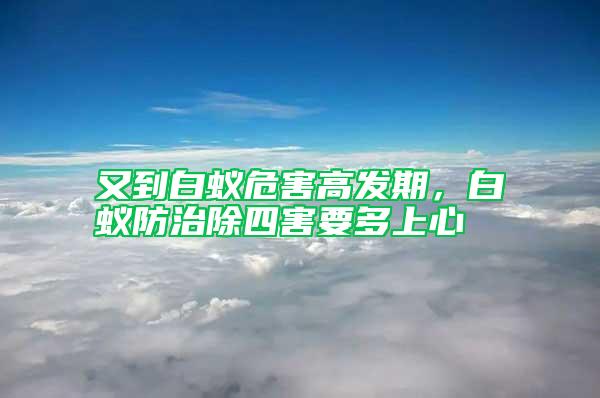 又到白蟻危害高發(fā)期，白蟻防治除四害要多上心