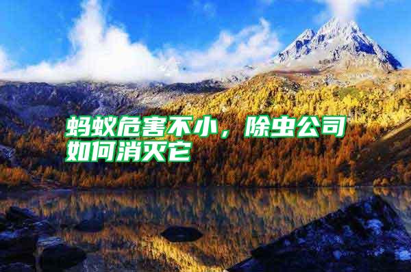 螞蟻危害不小，除蟲(chóng)公司如何消滅它