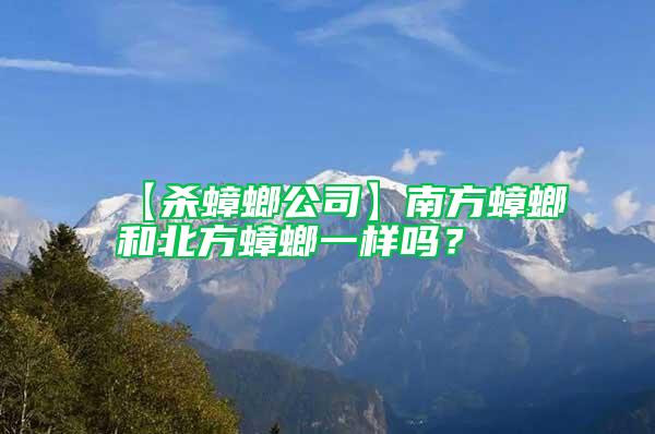 【殺蟑螂公司】南方蟑螂和北方蟑螂一樣嗎？