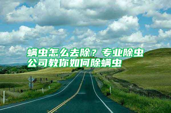螨蟲怎么去除？專業(yè)除蟲公司教你如何除螨蟲