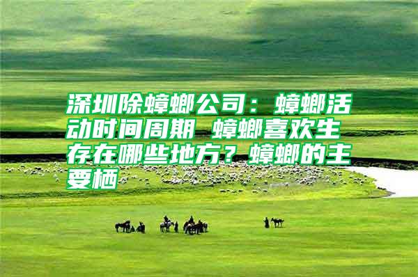 深圳除蟑螂公司：蟑螂活動時間周期 蟑螂喜歡生存在哪些地方？蟑螂的主要棲