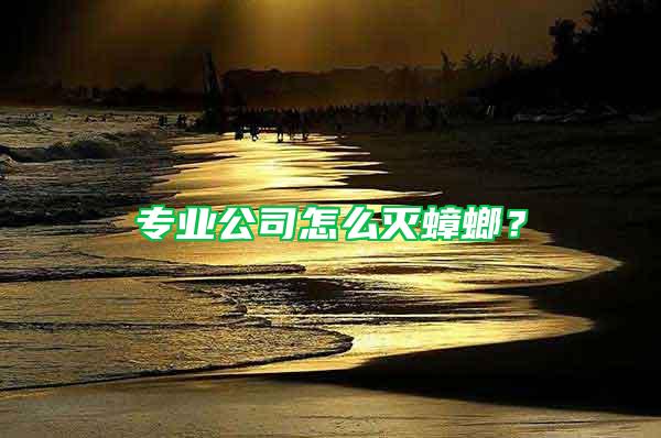 專(zhuān)業(yè)公司怎么滅蟑螂？