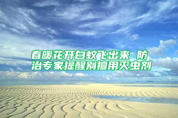 春暖花開(kāi)白蟻飛出來(lái) 防治專家提醒別擅用滅蟲(chóng)劑