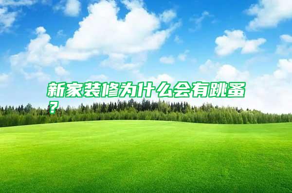 新家裝修為什么會(huì)有跳蚤？
