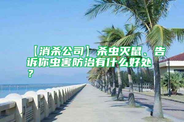 【消殺公司】殺蟲滅鼠、告訴你蟲害防治有什么好處？