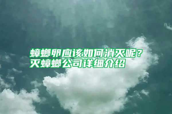 蟑螂卵應(yīng)該如何消滅呢？滅蟑螂公司詳細(xì)介紹