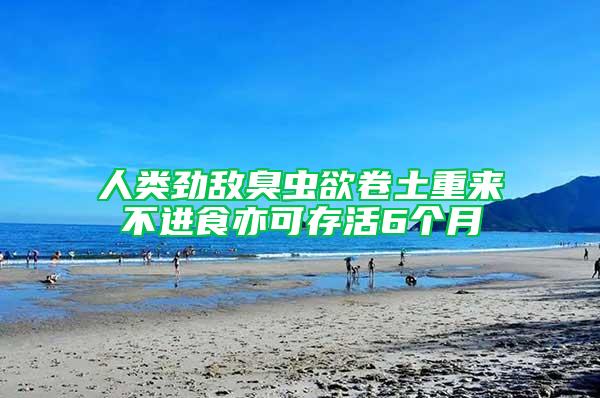 人類勁敵臭蟲欲卷土重來 不進(jìn)食亦可存活6個(gè)月