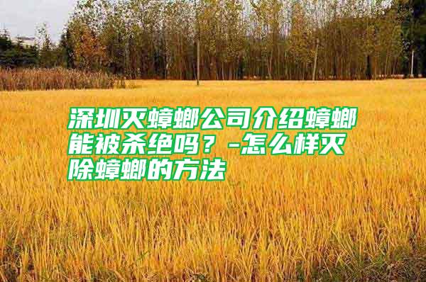 深圳滅蟑螂公司介紹蟑螂能被殺絕嗎？-怎么樣滅除蟑螂的方法