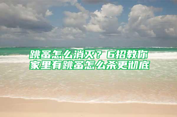 跳蚤怎么消滅？6招教你家里有跳蚤怎么殺更徹底