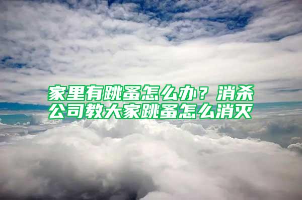 家里有跳蚤怎么辦？消殺公司教大家跳蚤怎么消滅