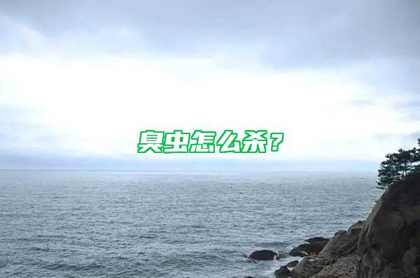 臭蟲怎么殺？