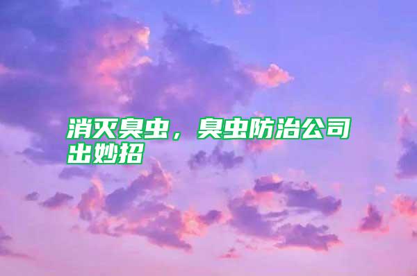 消滅臭蟲(chóng)，臭蟲(chóng)防治公司出妙招