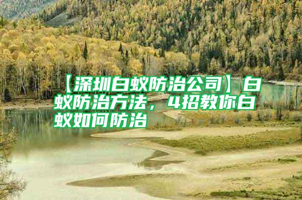 【深圳白蟻防治公司】白蟻防治方法，4招教你白蟻如何防治