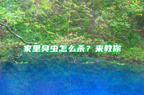 家里臭蟲怎么殺？來教你