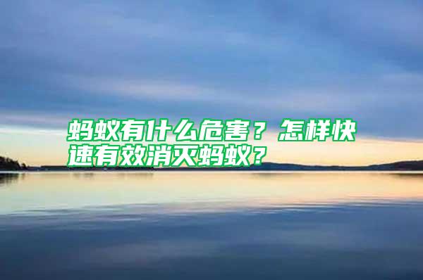 螞蟻有什么危害？怎樣快速有效消滅螞蟻？