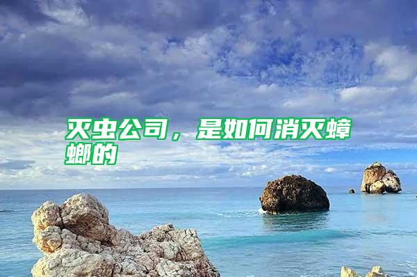 滅蟲公司，是如何消滅蟑螂的