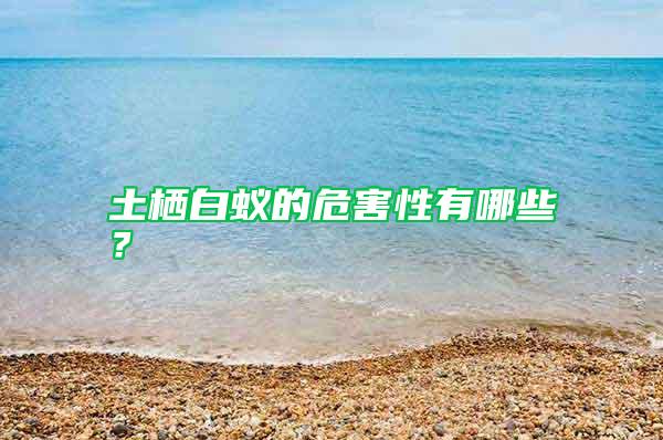 土棲白蟻的危害性有哪些？