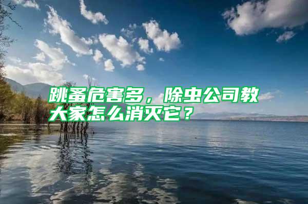 跳蚤危害多，除蟲公司教大家怎么消滅它？