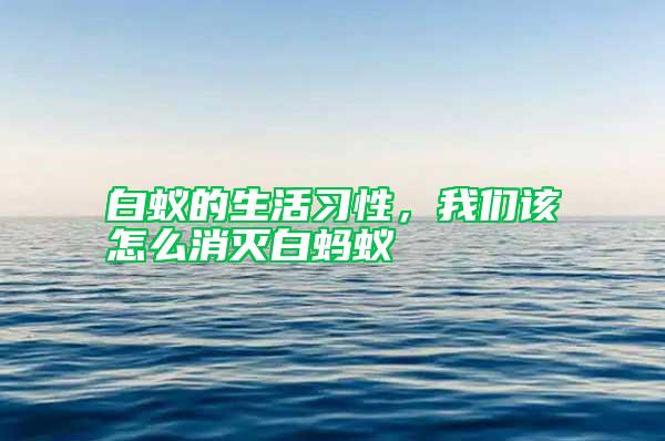 白蟻的生活習(xí)性，我們該怎么消滅白螞蟻
