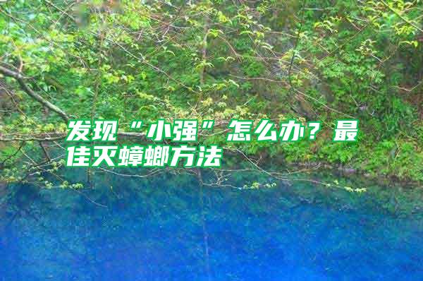 發(fā)現(xiàn)“小強(qiáng)”怎么辦？最佳滅蟑螂方法