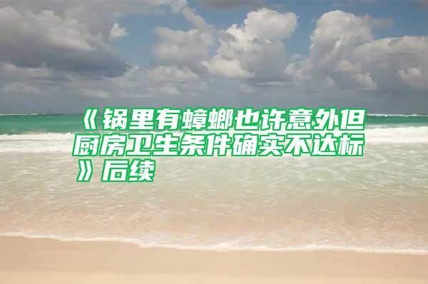《鍋里有蟑螂也許意外但廚房衛(wèi)生條件確實不達標(biāo)》后續(xù)