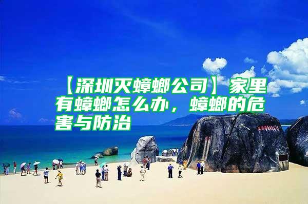 【深圳滅蟑螂公司】家里有蟑螂怎么辦，蟑螂的危害與防治