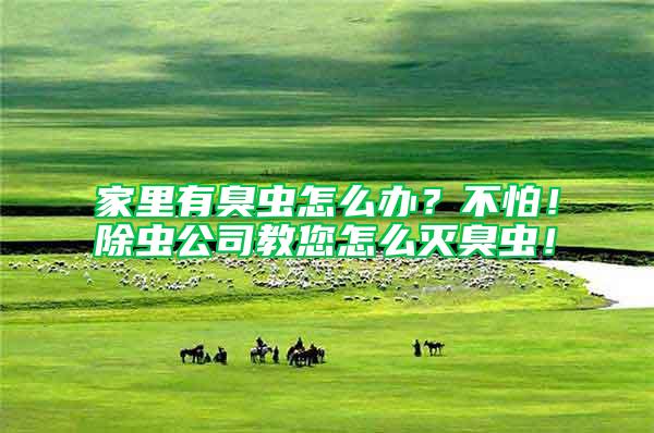 家里有臭蟲怎么辦？不怕！除蟲公司教您怎么滅臭蟲！