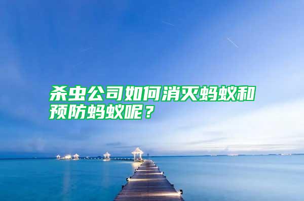 殺蟲公司如何消滅螞蟻和預(yù)防螞蟻呢？