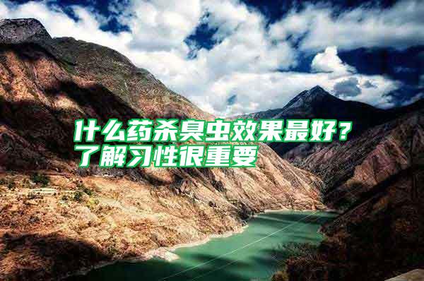 什么藥殺臭蟲效果最好？了解習(xí)性很重要