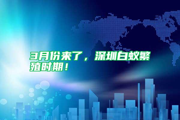 3月份來了，深圳白蟻繁殖時期！