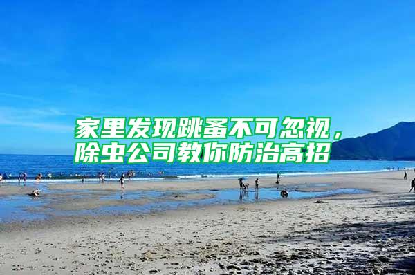 家里發(fā)現(xiàn)跳蚤不可忽視，除蟲公司教你防治高招