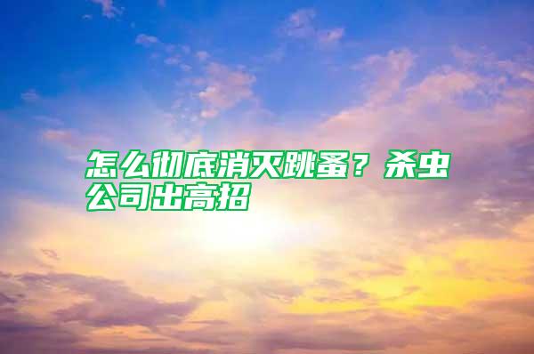 怎么徹底消滅跳蚤？殺蟲公司出高招