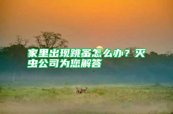 家里出現(xiàn)跳蚤怎么辦？滅蟲公司為您解答