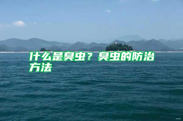 什么是臭蟲？臭蟲的防治方法