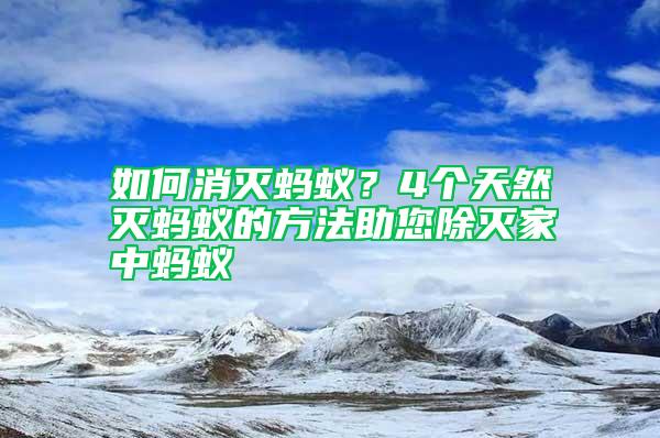 如何消滅螞蟻？4個天然滅螞蟻的方法助您除滅家中螞蟻