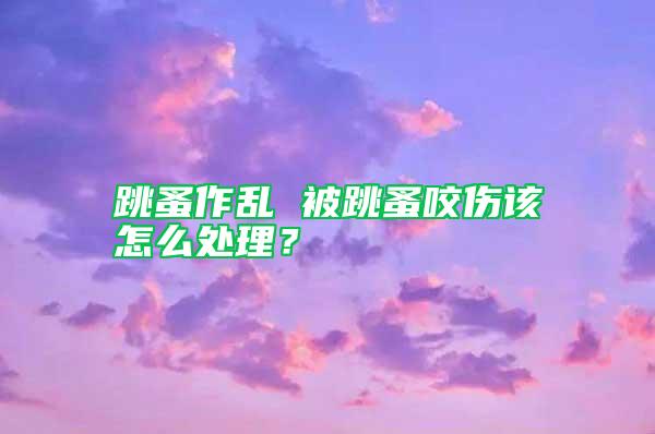 跳蚤作亂 被跳蚤咬傷該怎么處理？