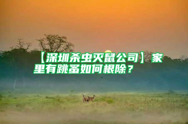 【深圳殺蟲滅鼠公司】家里有跳蚤如何根除？