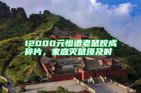 12000元慘遭老鼠咬成碎片，家庭滅鼠須及時(shí)