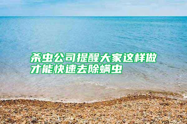 殺蟲(chóng)公司提醒大家這樣做才能快速去除螨蟲(chóng)