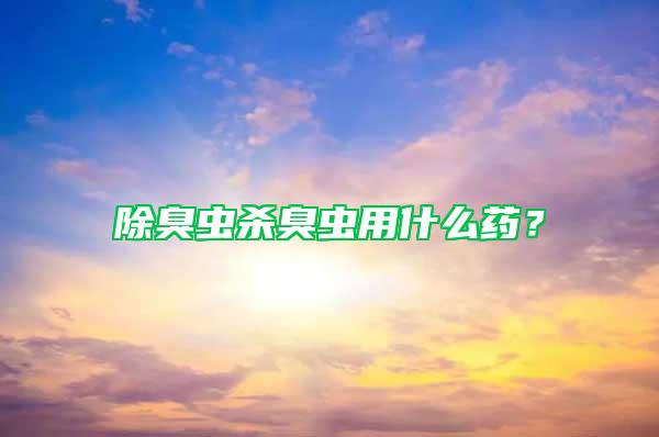 除臭蟲殺臭蟲用什么藥？