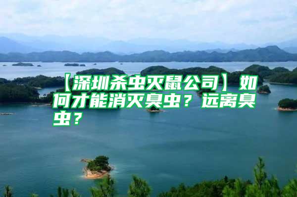【深圳殺蟲滅鼠公司】如何才能消滅臭蟲？遠(yuǎn)離臭蟲？