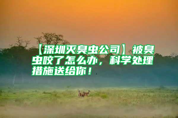 【深圳滅臭蟲公司】被臭蟲咬了怎么辦，科學(xué)處理措施送給你！