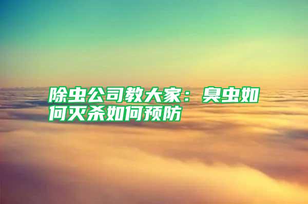 除蟲公司教大家：臭蟲如何滅殺如何預(yù)防