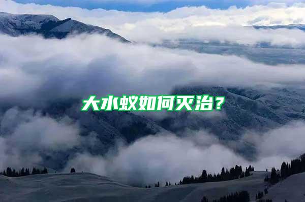 大水蟻如何滅治？