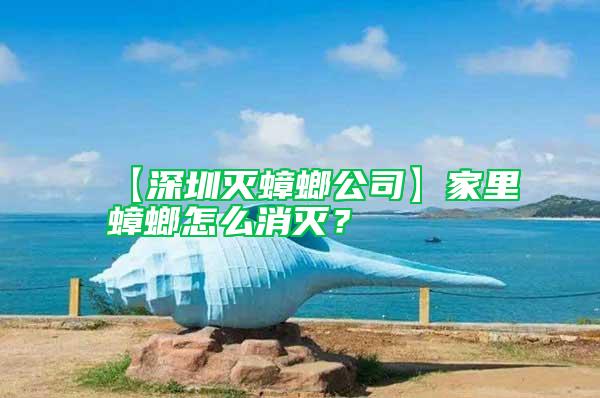 【深圳滅蟑螂公司】家里蟑螂怎么消滅？