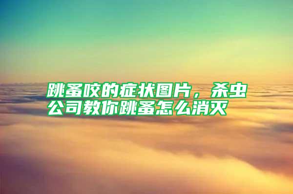 跳蚤咬的癥狀圖片，殺蟲公司教你跳蚤怎么消滅