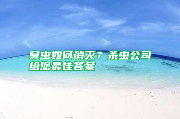 臭蟲如何消滅？殺蟲公司給您最佳答案