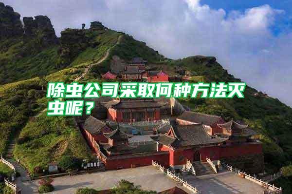 除蟲(chóng)公司采取何種方法滅蟲(chóng)呢？