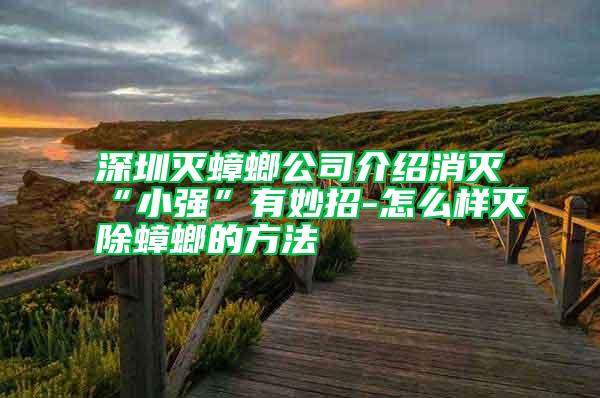 深圳滅蟑螂公司介紹消滅“小強(qiáng)”有妙招-怎么樣滅除蟑螂的方法
